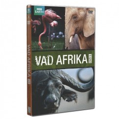 Vad Afrika 3. - DVD