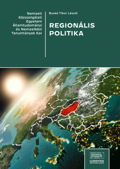 Buskó Tibor László - Regionális politika