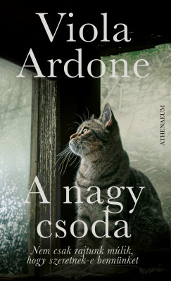 Viola Ardone - A nagy csoda