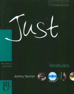 Just Vocabulary with Audio-CD - Intermediate Level