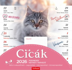 Cicák - mágneses falinaptár - 22x22 cm - 2026