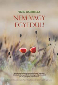 Vizin Gabriella - Nem vagy egyedl!