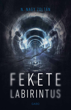 N. Nagy Zoltán - Fekete labirintus