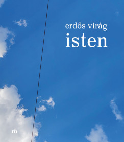 Erd�s Vir�g - Isten