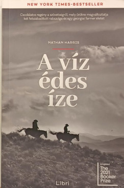 Nathan Harris - A víz édes íze