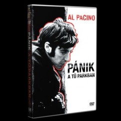 Jerry Schatzberg - Pnik a T parkban - DVD