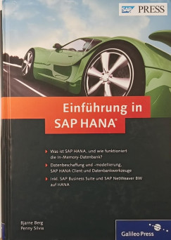 Bjarne Berg - Penny Silvia - Einfhrung in SAP HANA