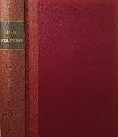 V�ndor K�lm�n - Mea Culpa