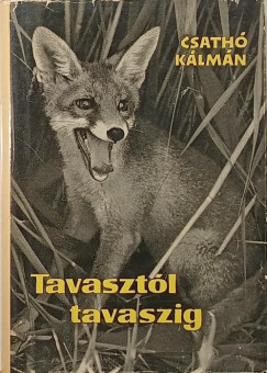 Csath� K�lm�n - Tavaszt�l tavaszig