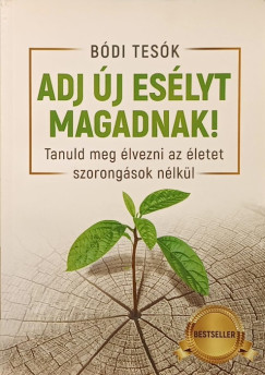 Bódi Megyer - Bódi Hunor - Bódi Bence - Adj új esélyt magadnak!