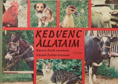 Kntor Zsolt - Vradi Zoltn - Kedvenc llataim