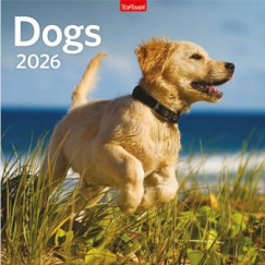 Dogs - Lemeznaptár - 58x29 cm - 2026