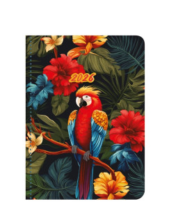 Flexi papagáj - B/6 heti naptár - 2026