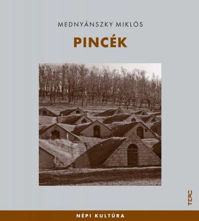 Mednyánszky Miklós - Pincék