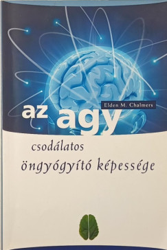 Az agy csodálatos öngyógyító képessége