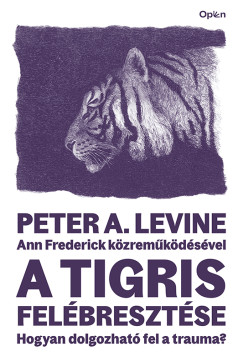 Ann Frederick - A tigris felébresztése
