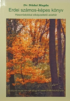 Dr. Nádai Magda - Erdei számos-képes könyv