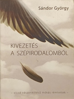 Sándor György - Kivezetés a szépirodalomból