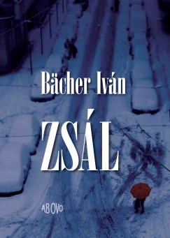 Bcher Ivn - Zsl