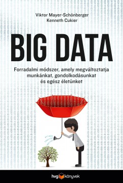 Kenneth Cukier - Viktor Mayer-Schnberger - Big data