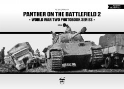 Barnaky Pter - Panther on the Battlefield 2