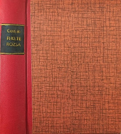 Thomas B. Costain - Fekete r�zsa