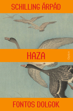 Schilling �rp�d - Haza