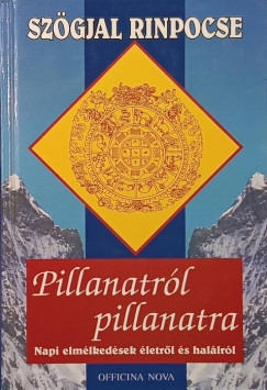 Szgyal Rinpocse - Pillanatrl pillanatra