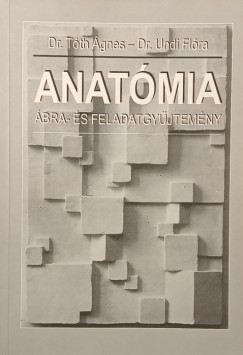 Anatómia