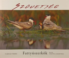 Turóczi Tiborc - Szövetség