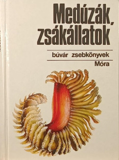 Bba Kroly - Medzk, zskllatok