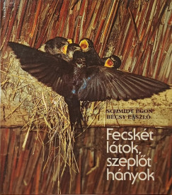 Bécsy László - Schmidt Egon - Fecskét látok, szeplőt hányok