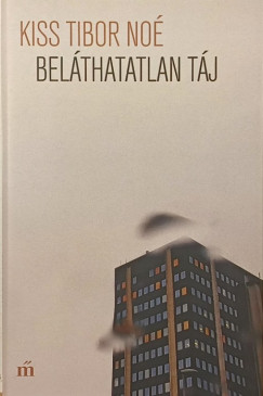 Kiss Tibor Noé - Beláthatatlan táj