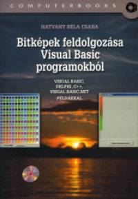 Hatvany Bla Csaba - Bitkpek feldolgozsa Visual Basic programokbl