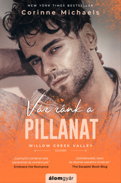 Corinne Michaels - Vr rnk a pillanat - Willow Creek Valley 4.