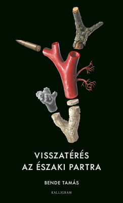 Bender Tamás - Visszatérés az északi partra