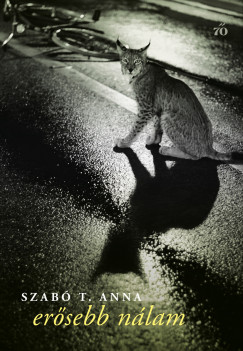 Szabó T. Anna - Erősebb nálam