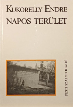 Kukorelly Endre - Napos terület - dedikált