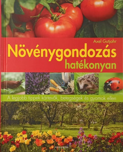 Axel Gutjahr - Nvnygondozs hatkonyan