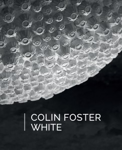 Dr. Ocsovai Dra   (Szerk.) - Colin Foster: White
