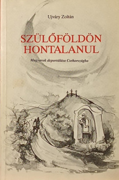 Ujváry Zoltán - Szülőföldön hontalanul