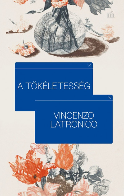 Könyv A tökéletesség (Vincenzo Latronico)