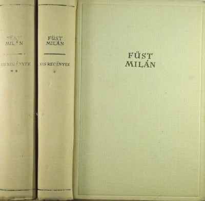 Füst Milán - Kis regények I-II.