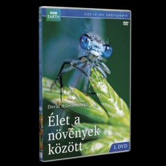 David Attenborough - �let a n�v�nyek k�z�tt 1. - DVD