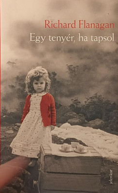 Richard Flanagan - Egy teny�r, ha tapsol