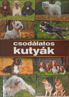 Csodálatos kutyák