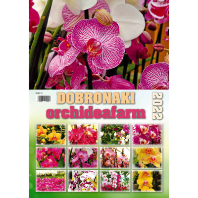  - Dobronaki orchideafarm falinaptár - 2022