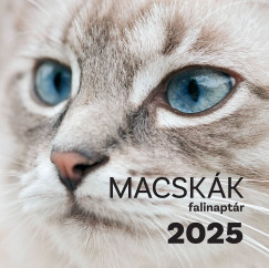 Macskk falinaptr 30x30 cm - 2025