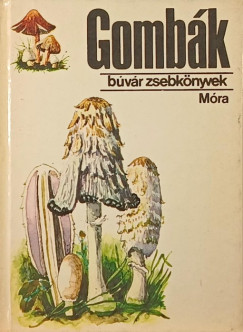 Kalmár Zoltán - Gombák
