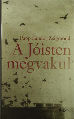 Papp Sndor Zsigmond - A Jisten megvakul
